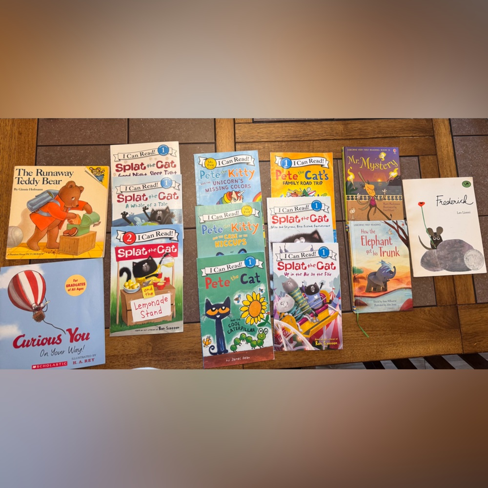 Book Lot -14 easy read books